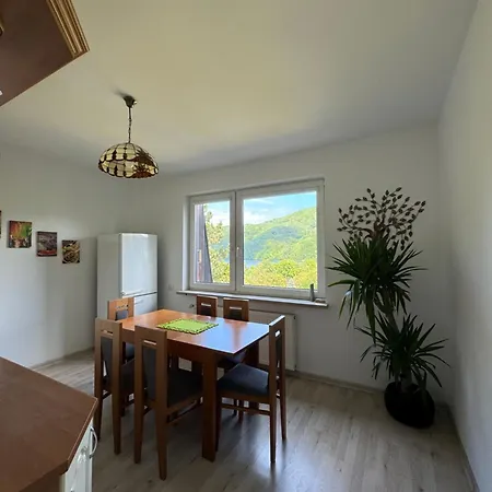 Vila Kotelnica Międzybrodzie Bialskie